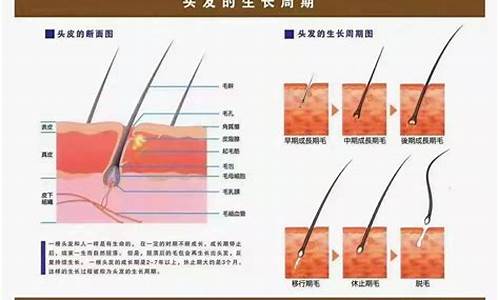 婴儿头发掉落是正常的吗？