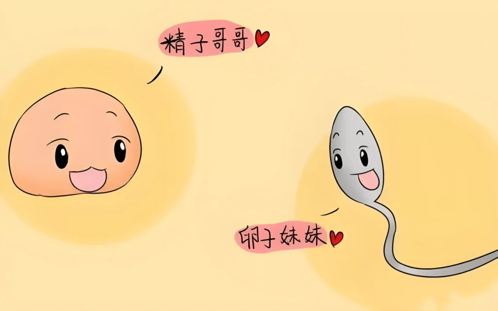 备孕前需要停药多久？