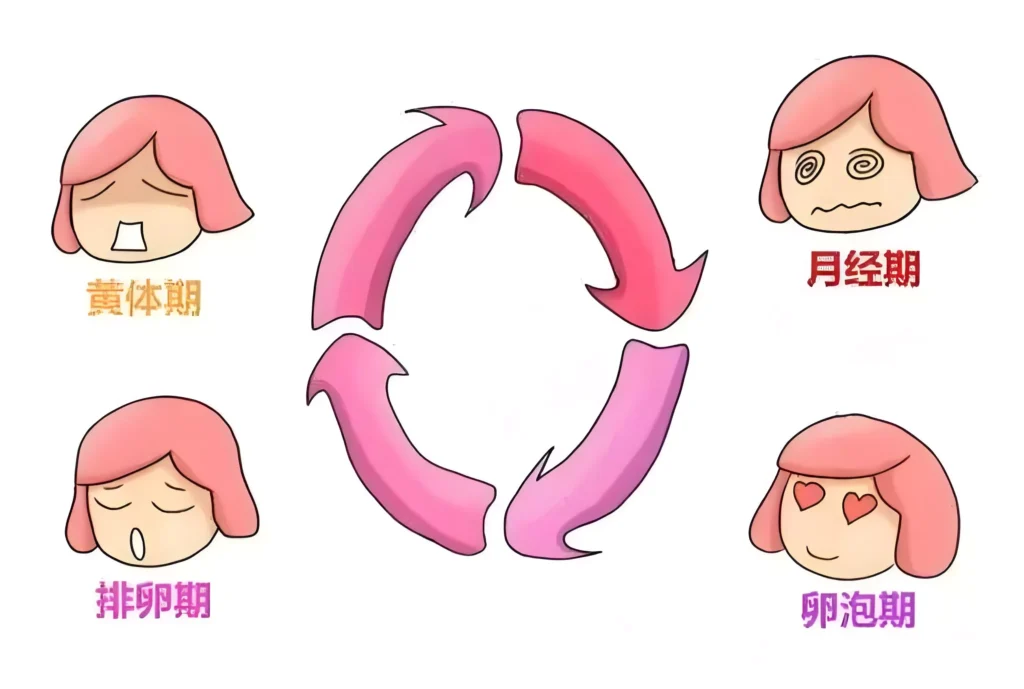 备孕前如何评估月经周期的规律性？