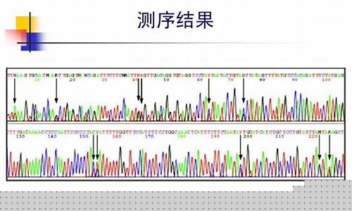 怀孕多久能查dna测男女