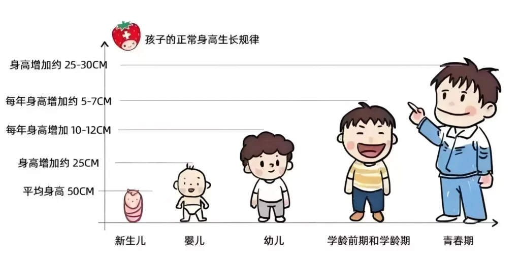 如何判断儿童的身高体重是否正常发育