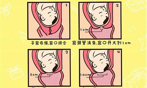 分娩的第一阶段包括什么？