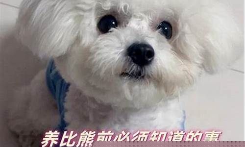 孕期应该避免哪些食物搭配？