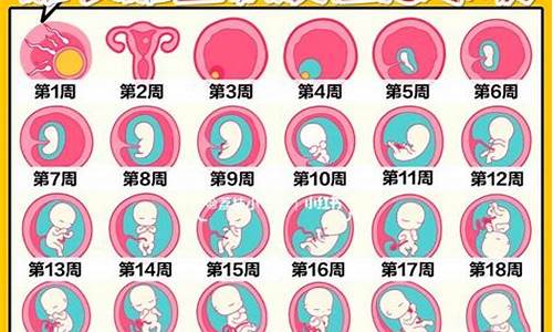 孕期运动对胎儿有影响吗？