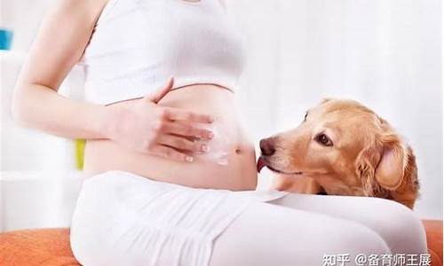 备孕期间可以养宠物吗？