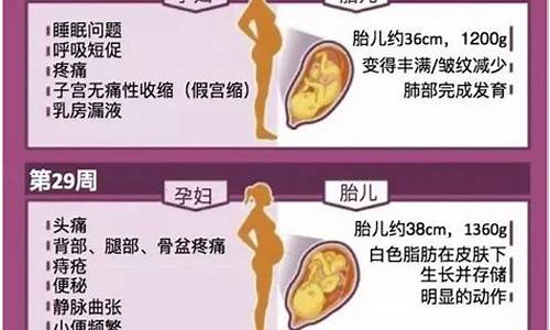 产后是否有可能再次怀孕？